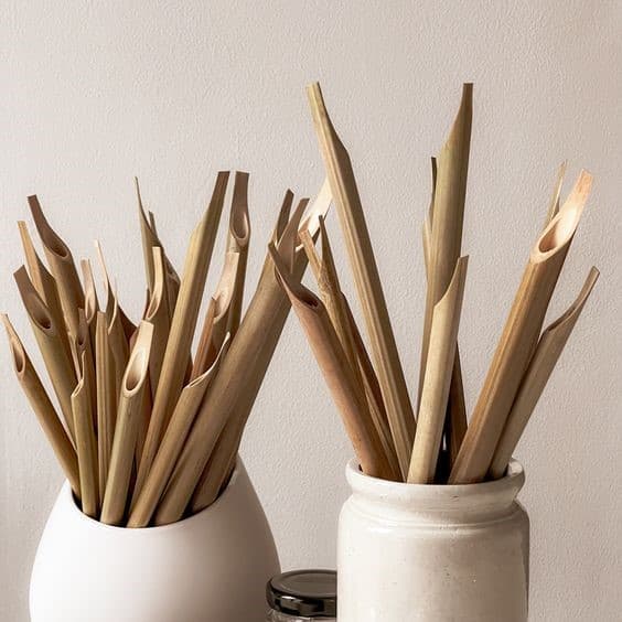 چگونه بهترین قلم نی را برای خوشنویسی انتخاب کنیم؟ (راهنمای تخصصی)